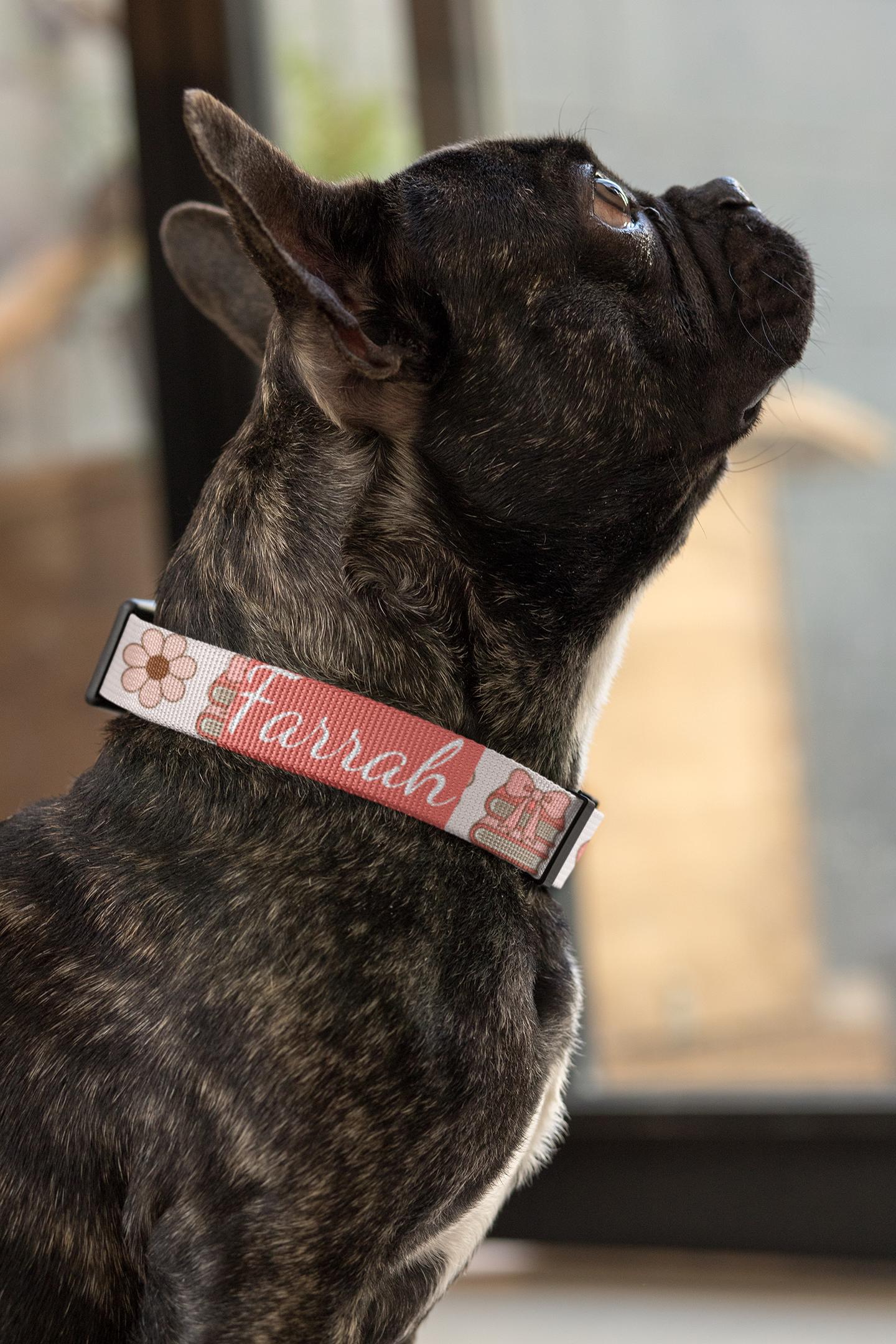 Personalized Coquette Dog Collar