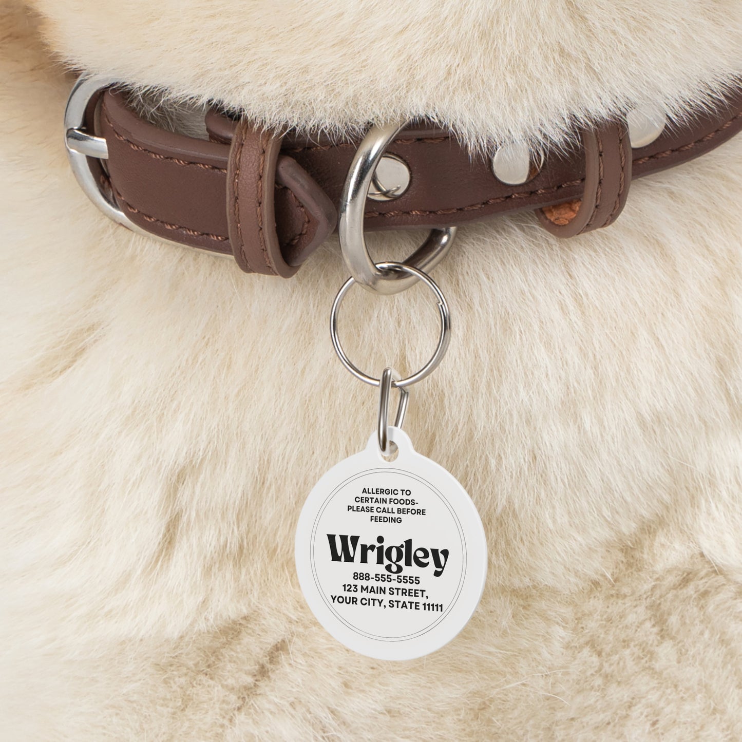 Personalized Pet Tag - Allergic Food Alert, Dog Cat ID, Safety Collar Tag, Customized Pet Jewelry, Animal Name Tag