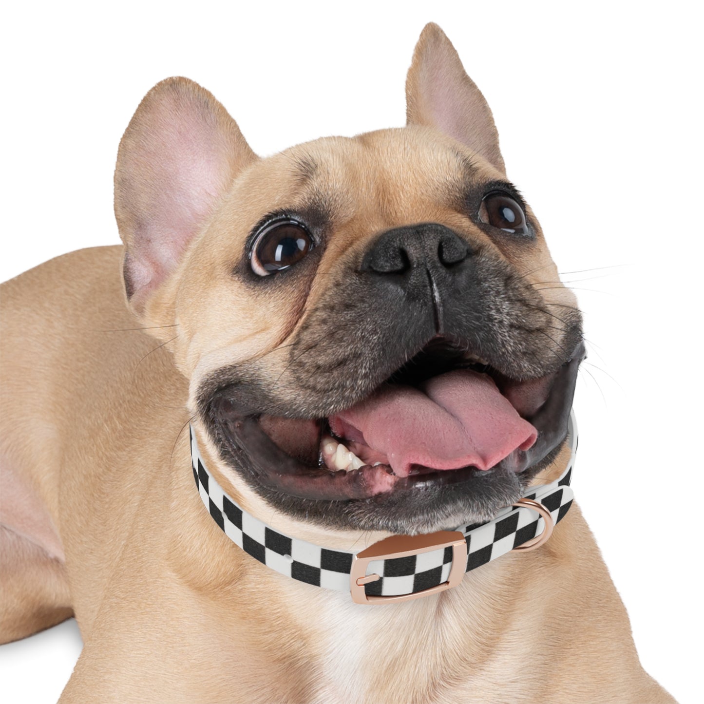 Personalized Checkered Dog Collar