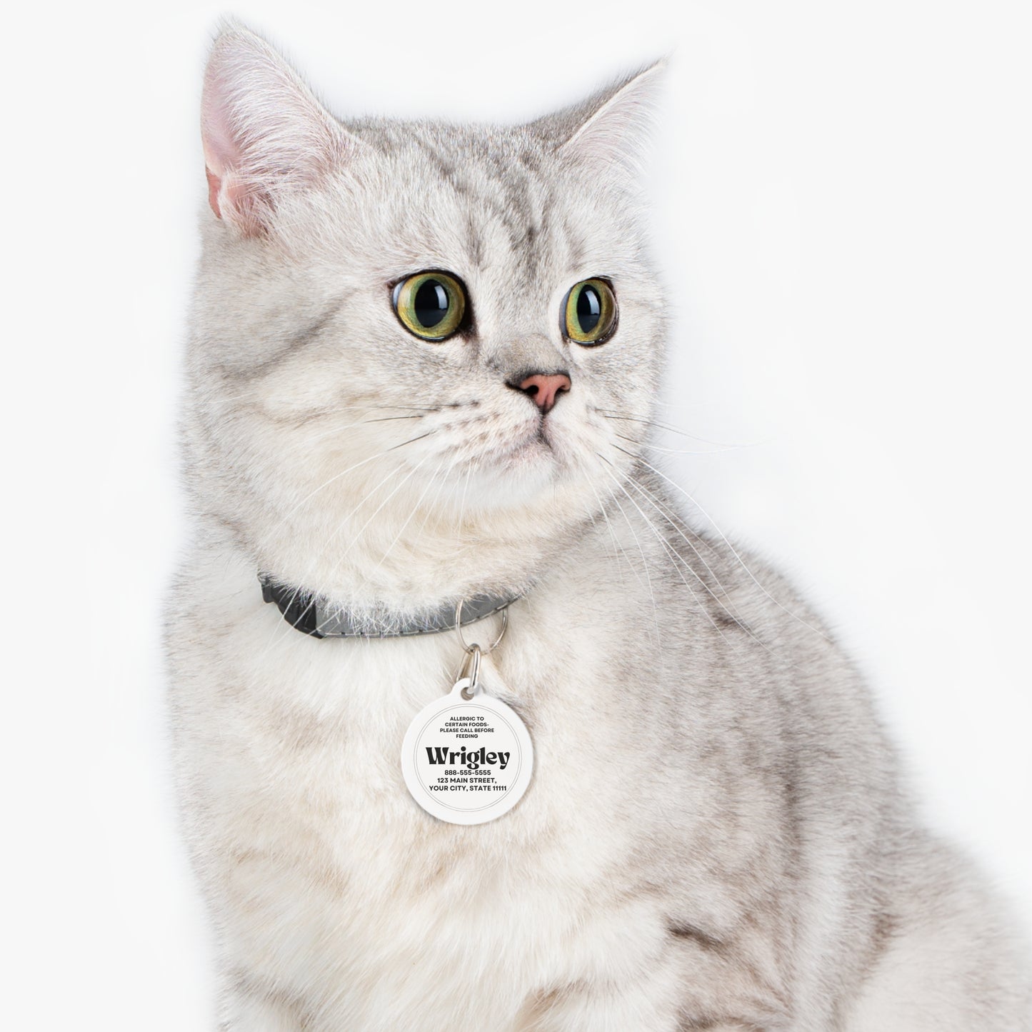 Personalized Pet Tag - Allergic Food Alert, Dog Cat ID, Safety Collar Tag, Customized Pet Jewelry, Animal Name Tag