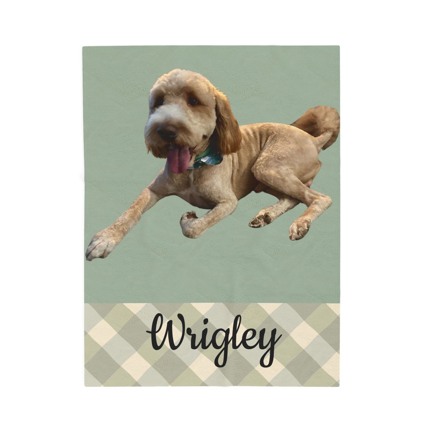Custom Pet Blanket, Personalized Dog Name Throw Gift for Pet Lovers Dog Mom Dad Cozy Soft Photo Customizable Pet Portrait
