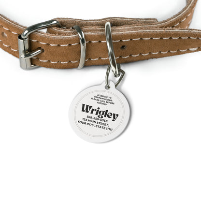 Personalized Pet Tag - Allergic Food Alert, Dog Cat ID, Safety Collar Tag, Customized Pet Jewelry, Animal Name Tag
