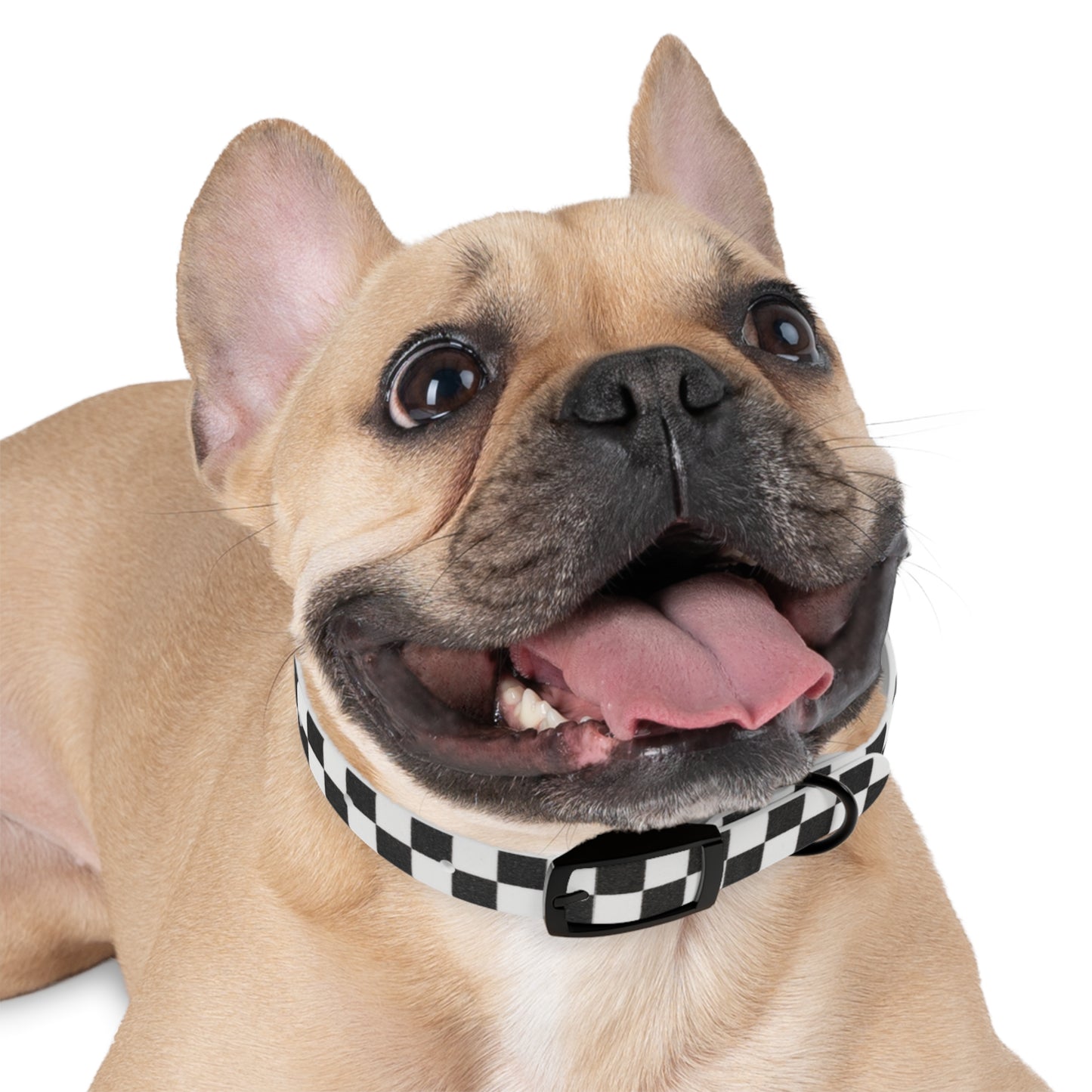 Personalized Checkered Dog Collar