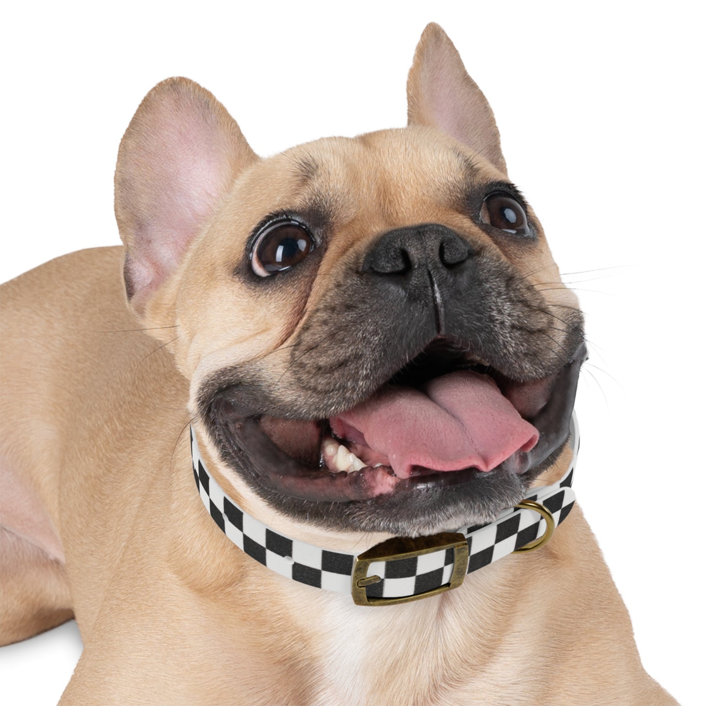 Personalized Checkered Dog Collar