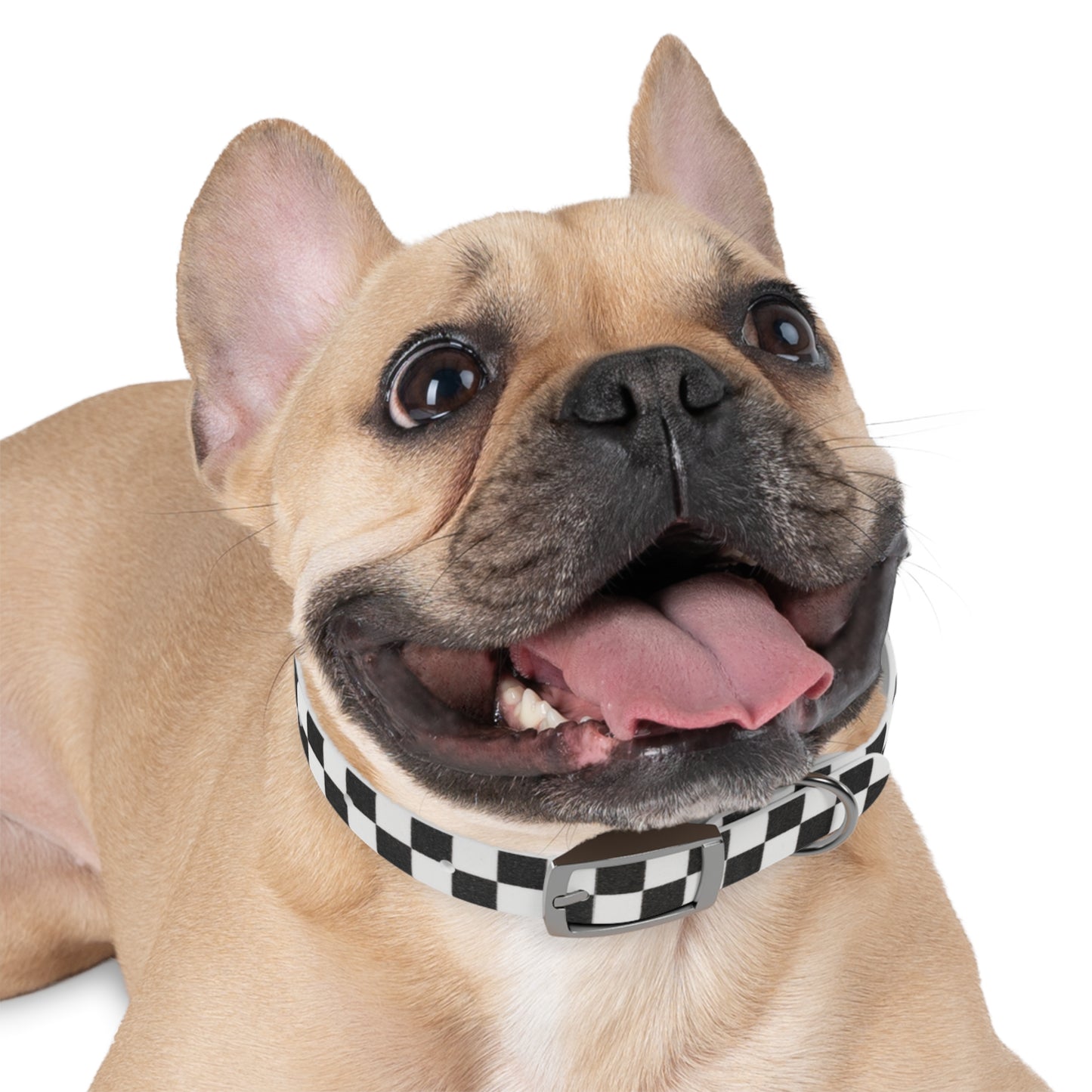 Personalized Checkered Dog Collar