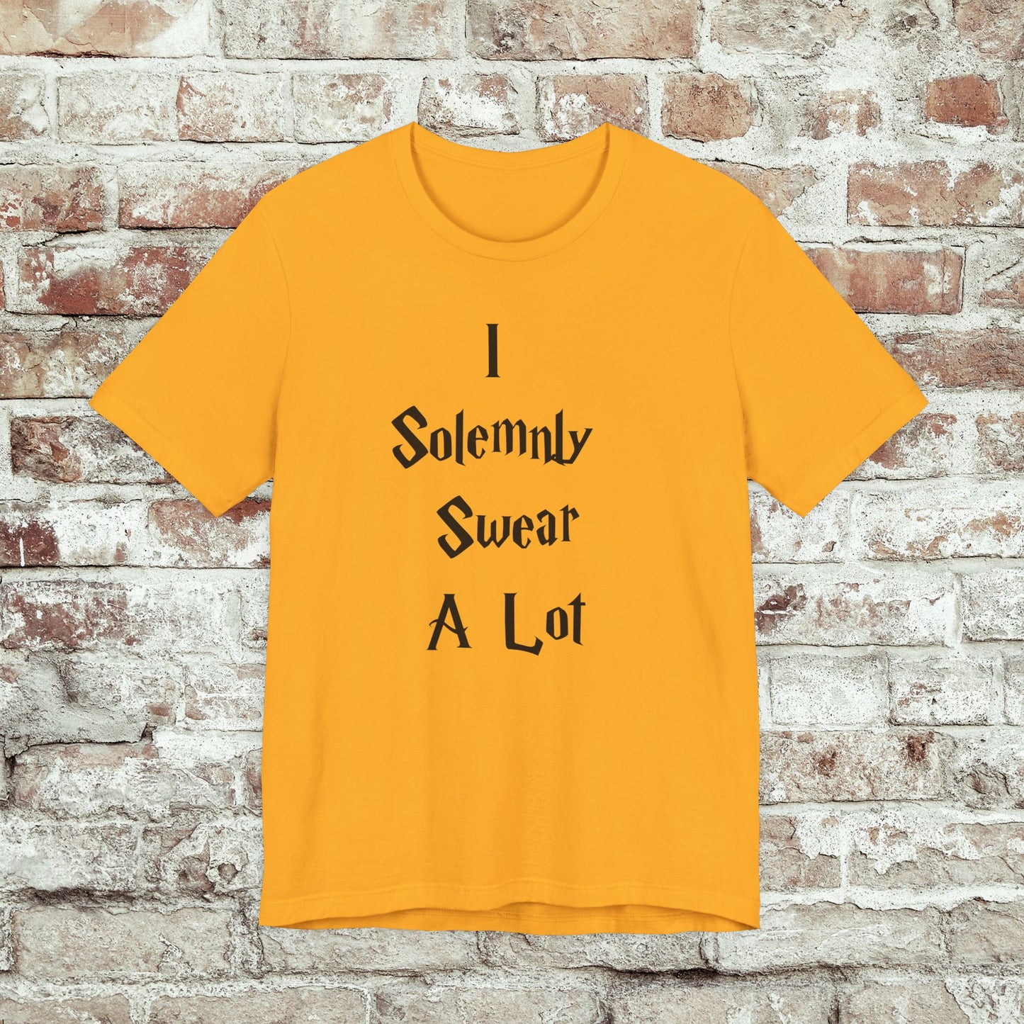 I Solemnly Swear A Lot, Gift for Wizards