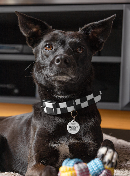 Personalized Checkered Dog Collar