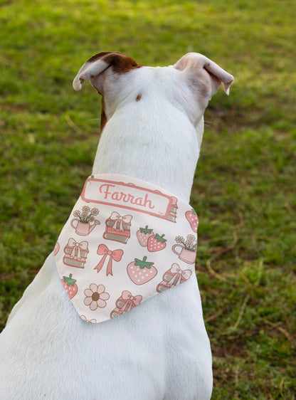 Coquette Clip-on Pet Bandana