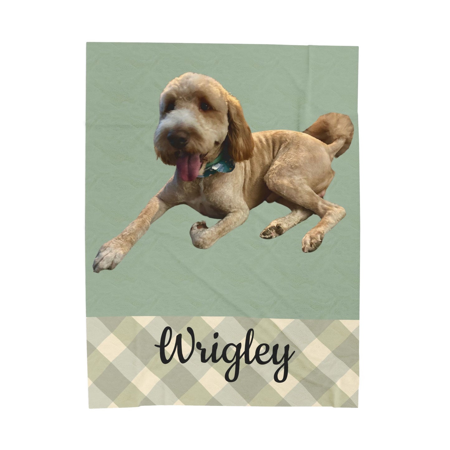 Custom Pet Blanket, Personalized Dog Name Throw Gift for Pet Lovers Dog Mom Dad Cozy Soft Photo Customizable Pet Portrait