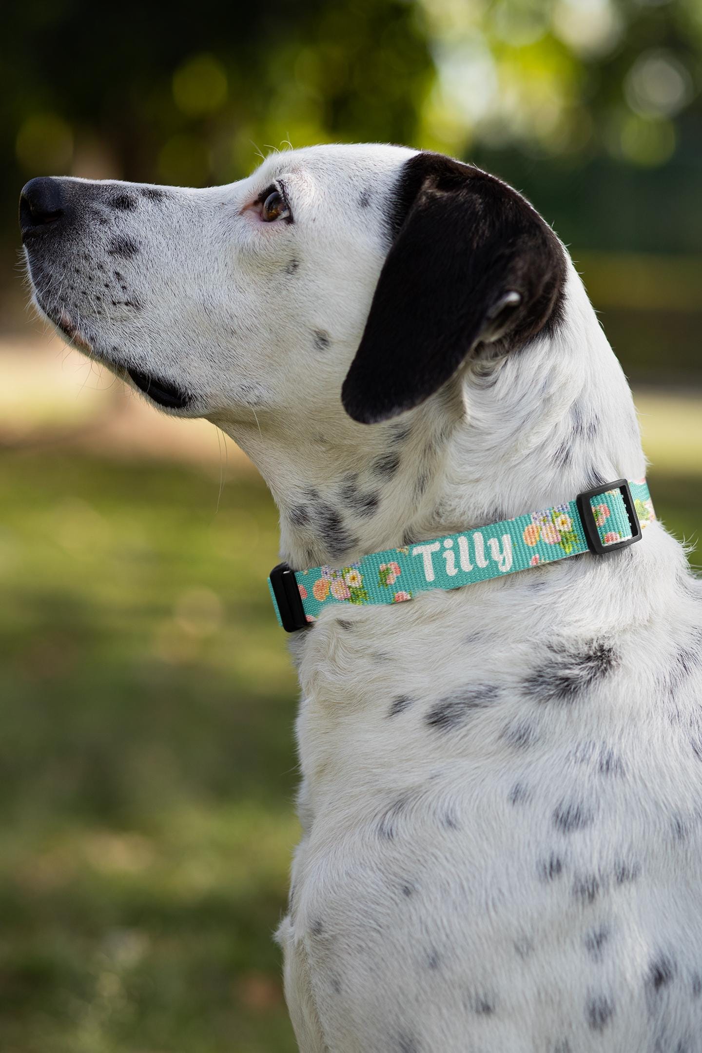 Floral Pet Collar, Dog & Cat Clip-on, Personalized Flower Patterned & Adjustable Band