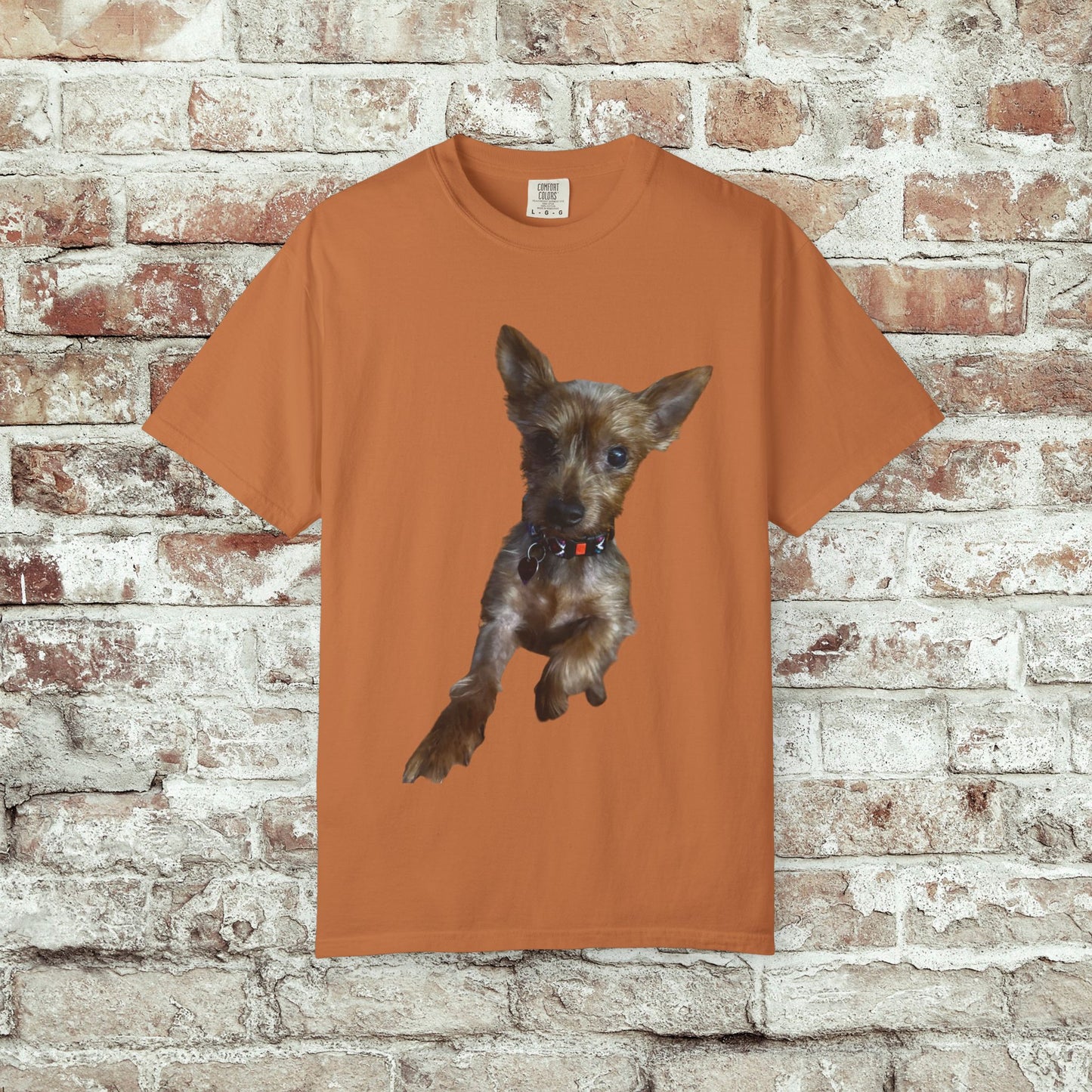 Pet Lover's Photo Comfort Colors Tee