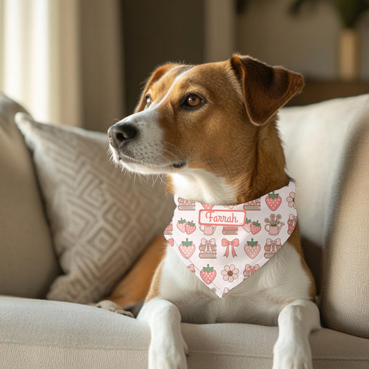 Coquette Clip-on Pet Bandana