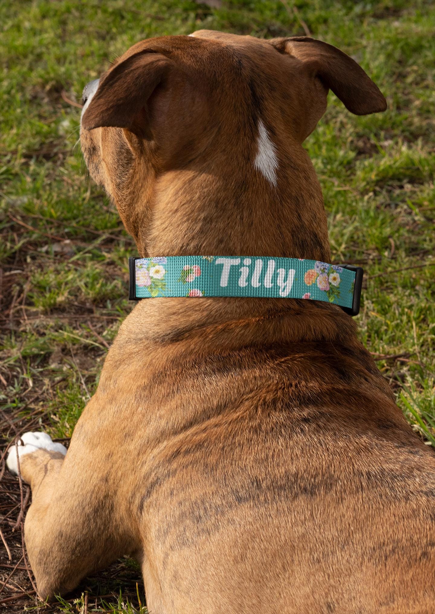 Floral Pet Collar, Dog & Cat Clip-on, Personalized Flower Patterned & Adjustable Band