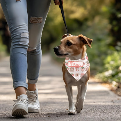 Coquette Clip-on Pet Bandana
