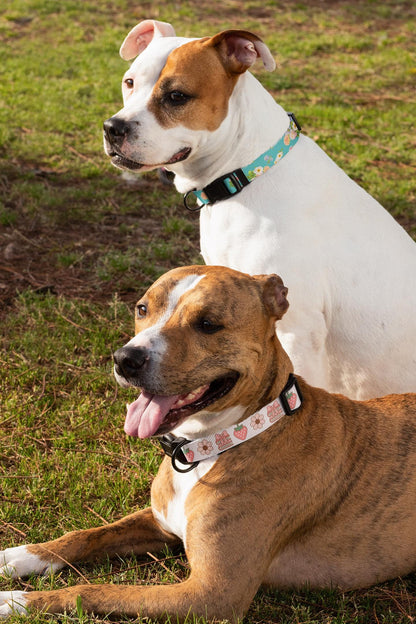 Floral Pet Collar, Dog & Cat Clip-on, Personalized Flower Patterned & Adjustable Band