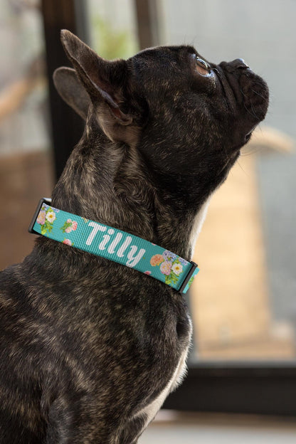 Floral Pet Collar, Dog & Cat Clip-on, Personalized Flower Patterned & Adjustable Band