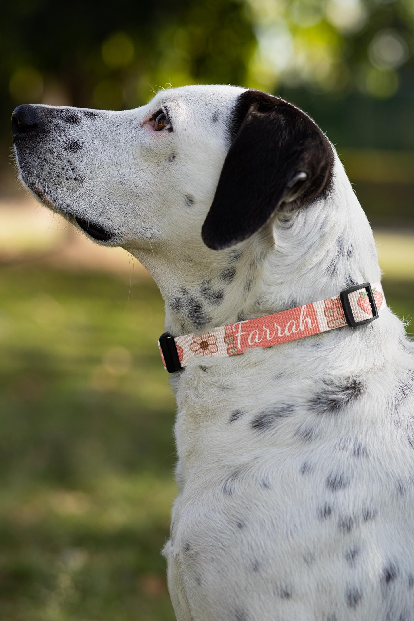 Personalized Coquette Dog Collar